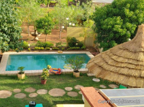 Résidence des hibiscus-roses: jardin, piscine...